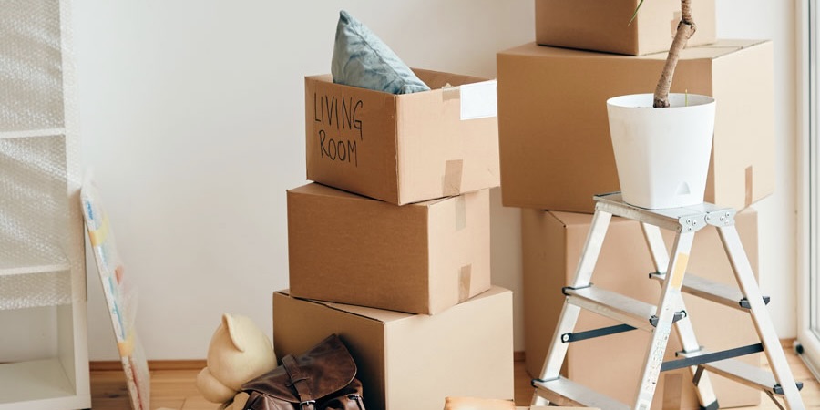 Carboard boxes and potted plant in a new apartment. Entrümpelung